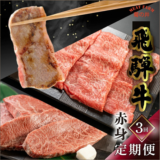 【定期便 3回】飛騨牛 赤身 定期便 3回 (ステーキ / 焼き肉 / しゃぶしゃぶ) 【70-A】