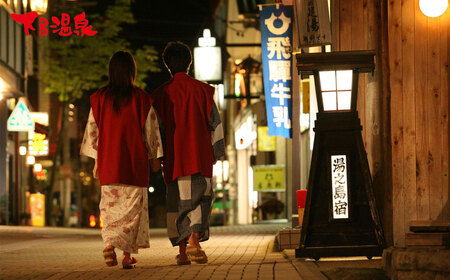 【岐阜県下呂市】日本旅行 地域限定 旅行クーポン 30,000円分 宿泊券 旅行 下呂温泉 旅館 ホテル 観光 クーポン 宿泊 家族旅行 旅行券 観光 交通費下呂市旅行【b001-2】