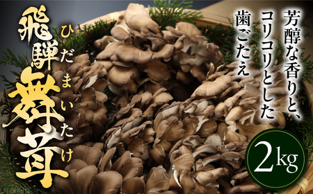 天然きのこ/舞茸/まいたけ/2キロ/その27 天然きのこ/舞茸/まいたけ/2キロ/その27