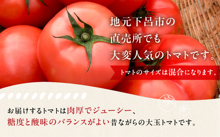 先行予約【2026年7月上旬頃から順次発送】≪有機JAS認証≫ 大玉トマト 約 1kg（6～8玉）（サイズ混合）【61-16】
