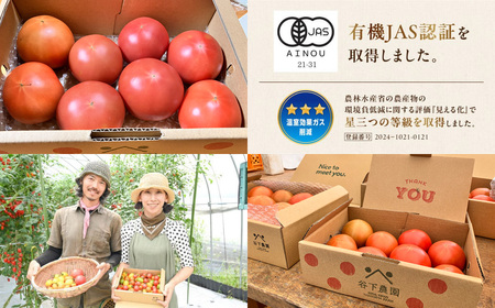 先行予約【2026年7月上旬頃から順次発送】≪有機JAS認証≫ 大玉トマト 約 1kg（6～8玉）（サイズ混合）【61-16】