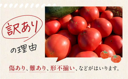 【2024年分 先行受付】訳アリ 約 1kg 大地の恵みがぎゅーっと詰まった果肉が厚い大玉トマト 麗月 レイゲツ れいげつ とまと 訳あり 1キロ【61-17】