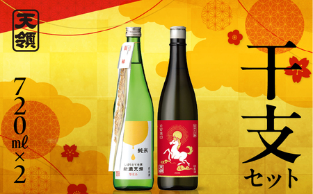 （2025年11月末より順次発送）（干支セット）純米しぼりたて生酒 新酒天領 720ml・純米大吟醸干支ラベル 720ml 【2-37】