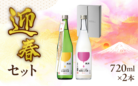 （2025年11月上旬頃から順次発送）（迎春セット）純米しぼりたて生酒　新酒天領 720ml・純米しぼりたて 生酒発泡にごり酒 720ml【2-38】