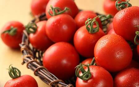 【定期便 3回】産地直送!杤本農園 フルーツトマトジュース(720ml×6本入り)×3カ月 華小町 フルーツトマト とまと 野菜飲料 贈答 ギフト 定期 3ヶ月 ジュース トマトジュース トマト フルーツトマト【45-A】定期便 定期 トマト トマトジュース トマトジュース トマトジュース