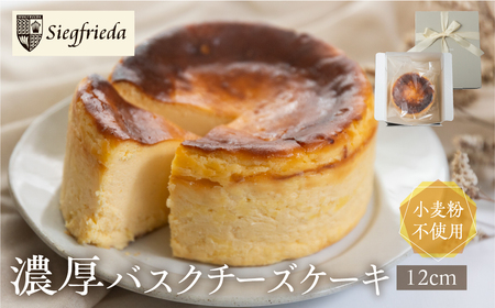 バスクチーズケーキ（12cm×12cm）バスクチーズ【32-4】