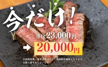 【期間限定】菊の井 飛騨牛赤身ステーキセット（イチボ・ランプ　各200g）牛肉 ブランド牛 国産 【冷凍】【70-1g】