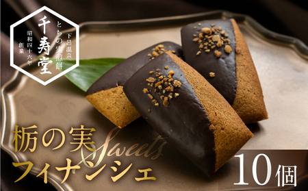 栃の実 ショコラフィナンシェ 10個 【6-10】