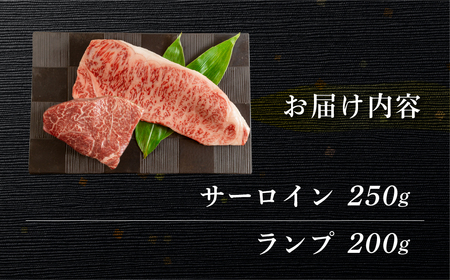 飛騨牛ステーキ2種セット（サーロイン 250g、ランプ 200g）各1枚【70-57】