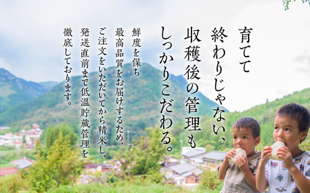 【2024年産】きぬむすめ 5kg（5kg×1袋）精米 米 令和6年産【かみはら山水農園】上原 下呂市 かみはら【28-12】