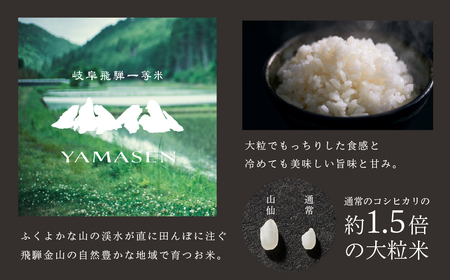 令和6年産米【定期便】山仙（いのちの壱）2kg×2袋（4kg）×3回 すがたらいす 令和6年 ブランド米 いのちのいち 下呂市金山産 2024年産 定期 毎月 4キロ×3カ月 お米 精米  下呂温泉 下呂市 米【51-F】