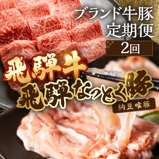 【定期便２回】 飛騨牛＆納豆喰豚 お楽しみ定期便（しゃぶしゃぶ用、焼肉用）【11-S】