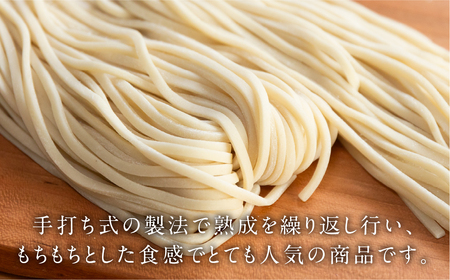 【訳あり】簡易包装 生うどん 5人前×2袋 めんつゆ付き 10食セット【29-10】