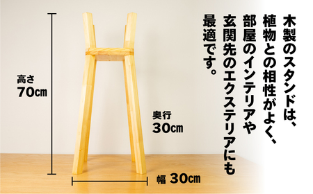プラントスタンド（大）（高さ70cm 幅30cm 奥行30cm） シンプル 木目【62-21】