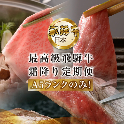 【定期便 6回】飛騨牛食べ比べ 【冷蔵配送】【39-A】
