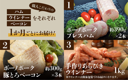 【定期便 3回】飛騨味職人「ボーノポーク満喫定期便」【57-E】