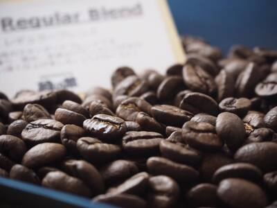 緑の館 / レギュラーブレンド豆 300g×2（600g）コーヒー コーヒー豆 珈琲 珈琲豆 グリーンハウスコーヒー 下呂市【17-91】