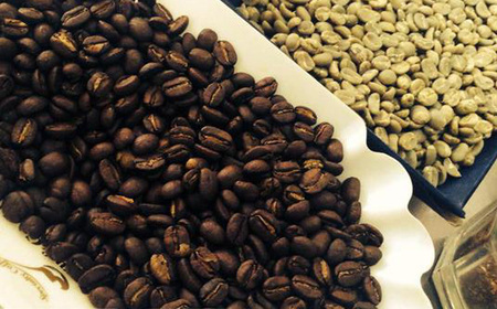 緑の館 / モカ・スペシャルブレンド豆 300g×2(600g)コーヒー豆【17-92】