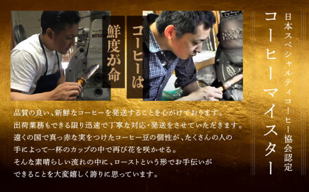 「緑の館」リキッドアイスコーヒー無糖1000ml 12本セット コーヒー 珈琲 アイス珈琲 下呂温泉 緑の館 アイスコーヒー アイス珈琲 下呂市【17-55】