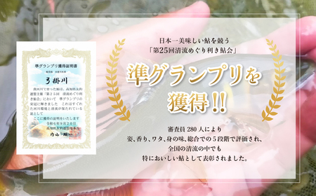 【先行予約】(2026年8月上旬頃から発送)幻の弓掛鮎 6尾セット【冷凍パック】【107-1】
