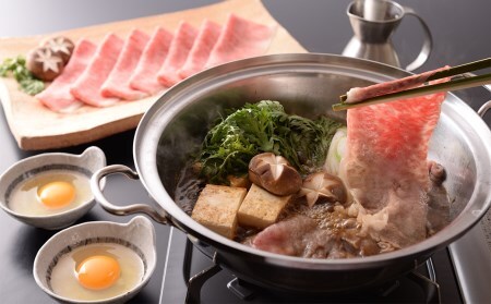 【最高級】飛騨牛 サーロインすき焼き 500g【39-41】