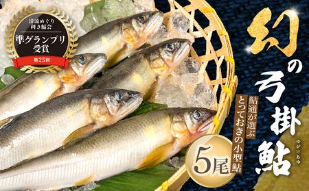 【先行予約】(2026年7月上旬頃から発送)幻の弓掛鮎 5尾以上 鮎通が選ぶ小型の逸品!【冷凍パック】【107-3】