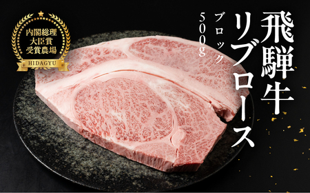 飛騨牛 リブロースブロック 500g 【22-43】