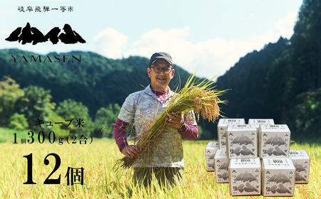 【令和7年産米】山仙 (いのちの壱) キューブ米 12個 （1個 300g（2合））【51-24】