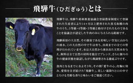 【BOXカラー 茶】飛騨牛 10品から選べる！カタログギフト 10000円分【22-45【2】】