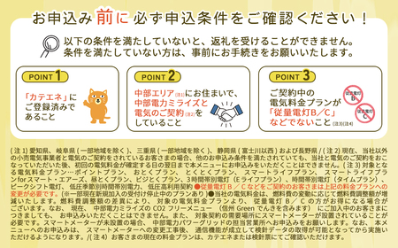 下呂市産CO2フリーでんき 10,000円コース（注：お申込み前に申込条件を必ずご確認ください）中部電力ミライズ 電気 電力 中電 中部電力 中部 電気代 電気料金 下呂市 岐阜県 愛知県 三重県 静岡県 長野県 ふるさと でんき【115-1】