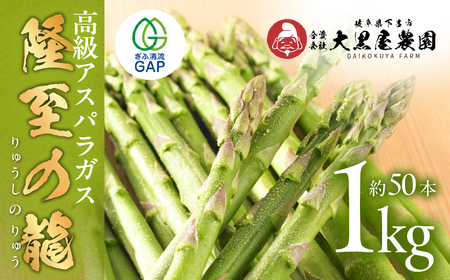先行予約（2026年5月から順次発送）高級アスパラガス 隆至の龍 1kg（約50本入り）レギュラーサイズ【119-2】