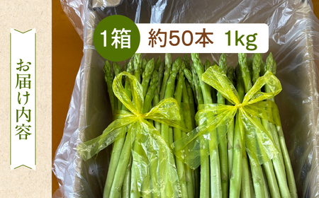 先行予約（2026年5月から順次発送）高級アスパラガス 隆至の龍 1kg（約50本入り）レギュラーサイズ【119-2】