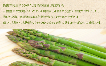 先行予約（2026年5月から順次発送）高級アスパラガス 隆至の龍 1kg（約50本入り）レギュラーサイズ【119-2】