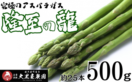 先行予約(2026年5月から順次発送)高級アスパラガス 隆至の龍 500g(約25本入り)レギュラーサイズ【119-3】