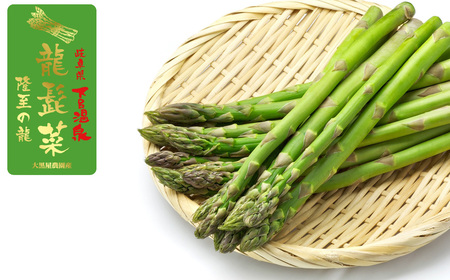 先行予約(2026年5月から順次発送)高級アスパラガス 隆至の龍 500g(約25本入り)レギュラーサイズ【119-3】