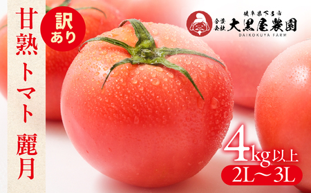 先行予約（訳あり）（2026年7月上旬頃から順次発送） 甘塾トマト 麗月 2Ｌ～3Ｌ 大サイズ 4kg以上 【119-5】