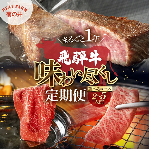 【定期便 12回】飛騨牛まるごと1年味わい尽くし定期便（2～3人前）【70-C】