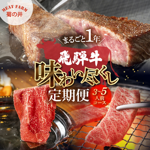 【定期便 12回】飛騨牛まるごと1年味わい尽くし定期便（3～5人前）【70-D】