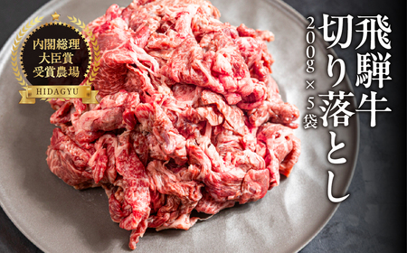 飛騨牛 切り落とし 200g×5袋 　計1kg【22-47】