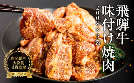 【焼くだけ簡単】飛騨牛 特製味付け焼肉 200g×3袋【22-49】