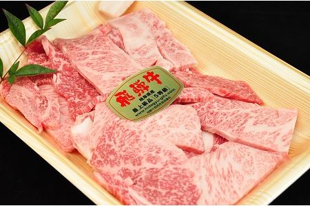 飛騨牛もも・ばらカルビ焼肉セット（各280g） 牛肉 ブランド牛 国産 和牛【11-12】【冷凍】