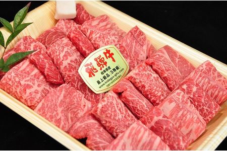 【年内順次発送】飛騨牛肩ロース・もも焼肉セット 各400g  牛肉 国産 ブランド牛 和牛 年内配送 年内発送 年内に届く 年内お届け【11-22n】【冷凍】