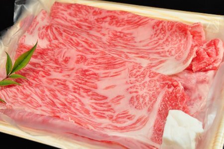 【年内順次発送】飛騨牛サーロイン・ももすき焼きセット 各450g  牛肉 国産 ブランド牛 和牛 A5【11-29n】【冷凍】年内配送 年内発送 年内に届く 年内お届け