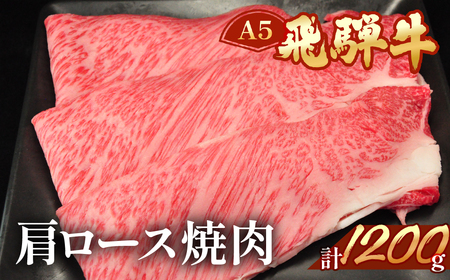 飛騨牛肩ロース焼肉セット 1200g【11-35】
