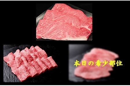 飛騨牛肩ロース・赤身・本日の希少部位焼肉セット 各470g  牛肉 国産 ブランド牛【11-39】【冷凍】