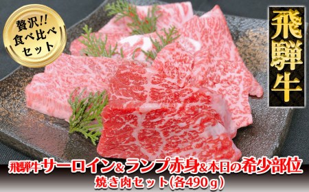 飛騨牛サーロイン・ランプ赤身・本日の希少部位焼肉セット 各490g  牛肉 国産 ブランド牛【11-48】【冷凍】