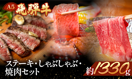 飛騨牛を味わいつくす!!ステーキ・しゃぶしゃぶ・焼肉セット【ヒレ約240g(2枚)/サーロイン約200g(1枚)/リブロース500g/本日の希少部位500g】【11-58】【冷凍】