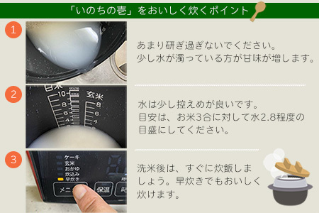 即納【令和5年産米】いのちの壱 5kg すがたらいす  2023年産 5キロ 令和5年 お米 米 精米 下呂市金山産 米 2023年産米 即納 米【51-2】