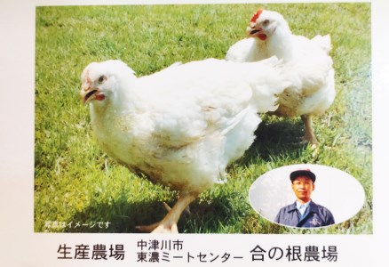 鶏ちゃん専門店「杉の子」味付き鶏ちゃん 250g×10袋　冷凍配送【59-3】