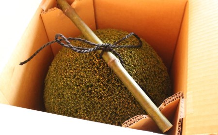 日本酒ライフに彩りを！杉玉直径40cm。自宅やお店のインテリアに。【67